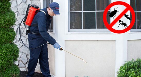 Tarsus Pire İlaçlama böcek ilaçlama ve haşere kontrolü — ilaclama-tr.com